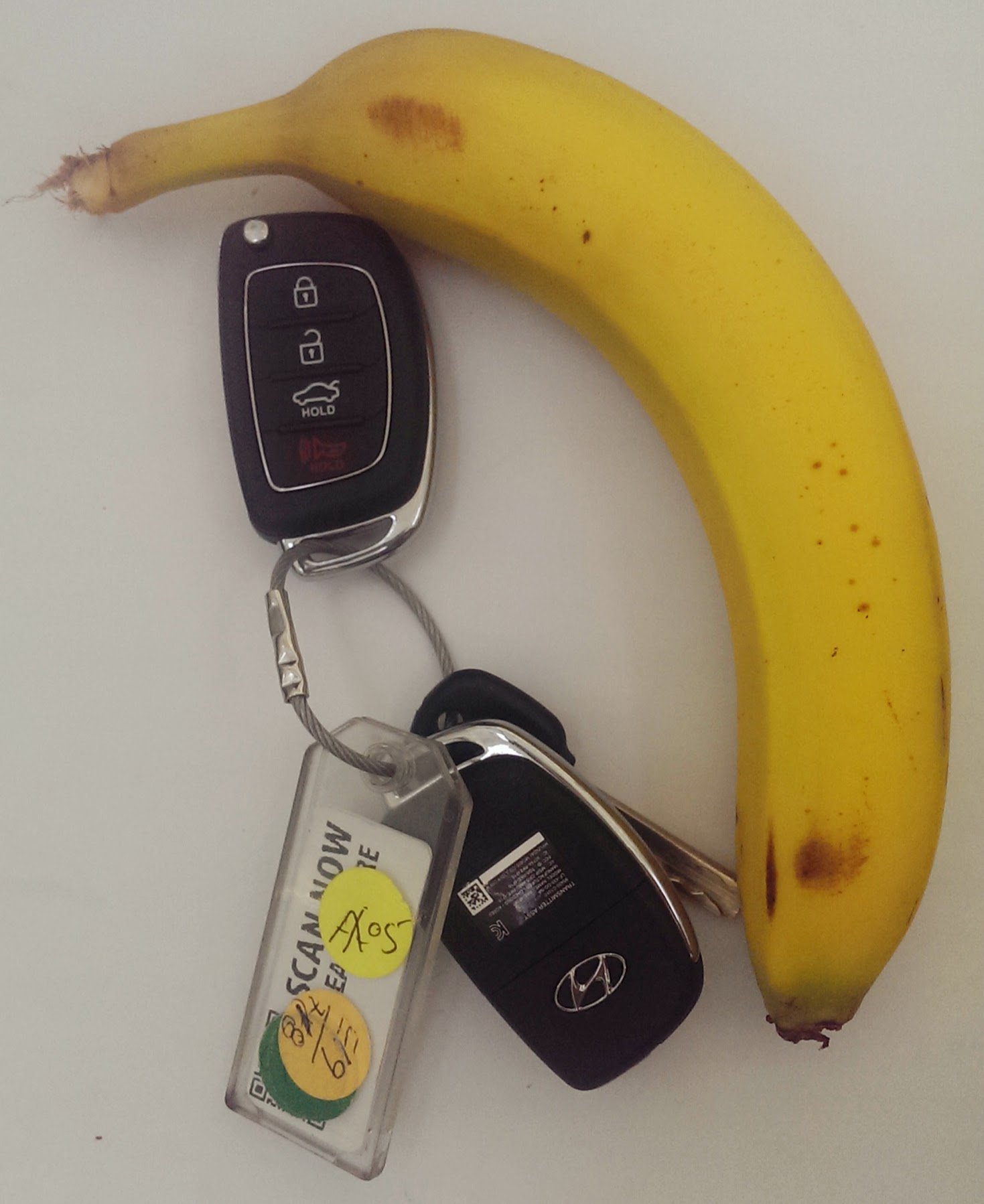 Banana for scale